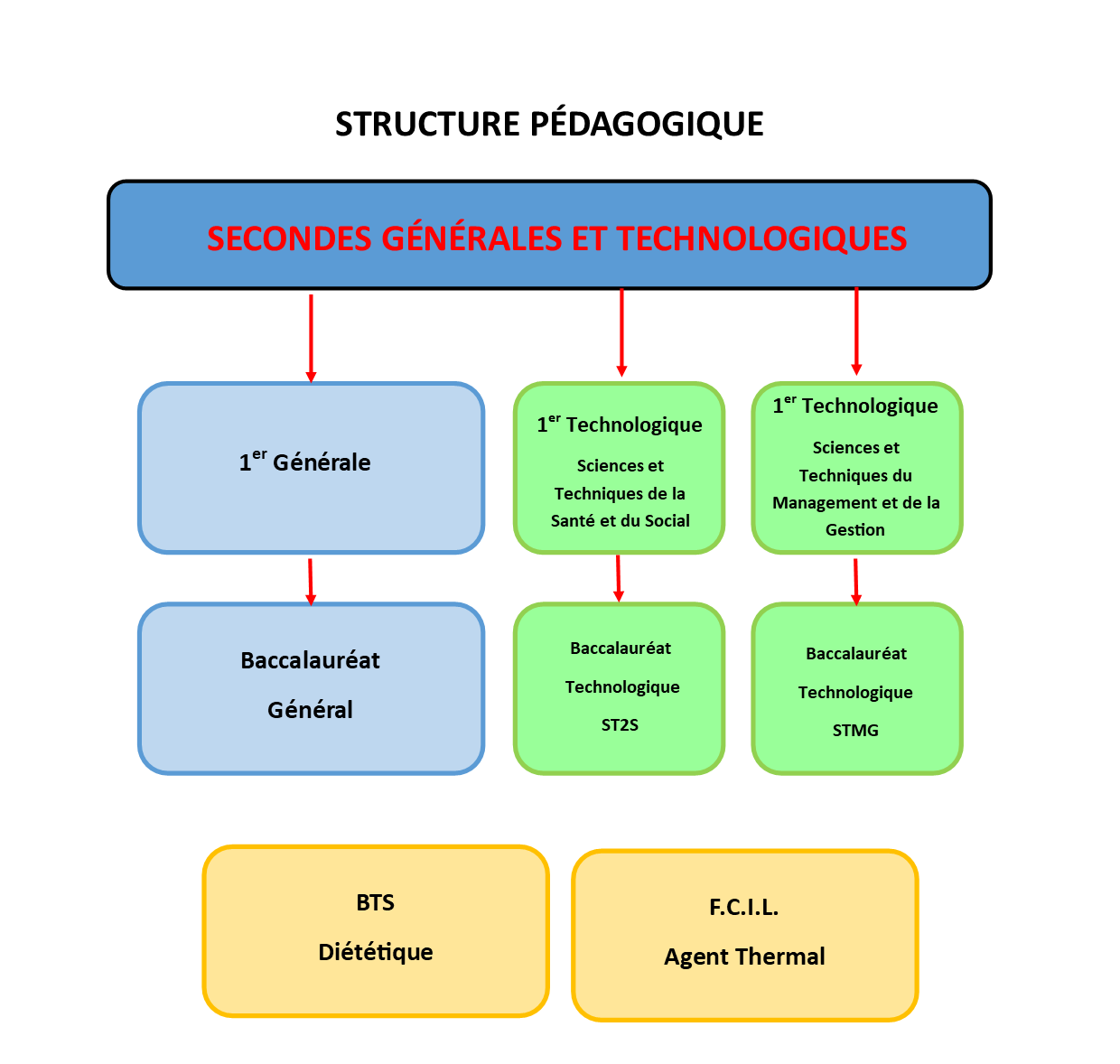 structure pedagogique